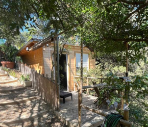 Chalet dans les arbres